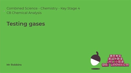 英国老师教GCSE化学-Testing_gases