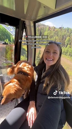 Ready for a fall Rocky Mountain getaway? 🐾 we’re teaming up with @The Wildest to share the best dog-friendly spots to see in Colorado! From breathtaking hikes to scenic patios — add these pup-friendly destinations to your list: 🏔️ Telluride, CO 🏔️ Breckenridge, CO And don’t forget to click the link in our bio for more pet friendly guides and essential travel tips! #wildestpartner #colorado #thingstodoincolorado