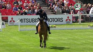 2016 Mitsubishi Motors in the UK Badminton Horse Trials, Dressage Day 1 - The Best Bits | Badminton Horse Trials