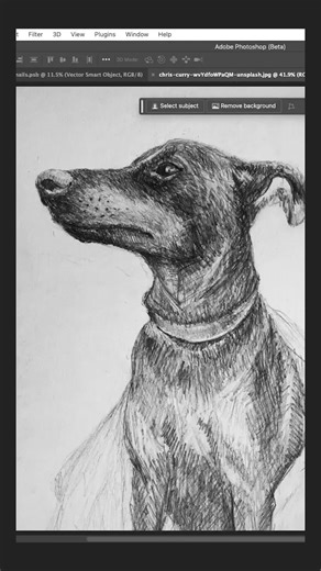 Turn an Image into a Vector in Adobe Illustrator