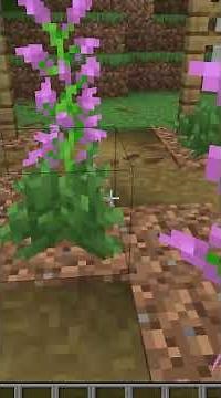 Abandoned Camp Structure #minecraft #26.3snapshot1
