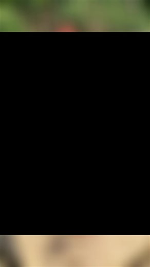 Firefighters and Dalmatians: Unforgettable Moments