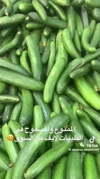 الممنوعات والمسموحات في نظام الطيبات للمرحوم الدكتور ضياء العوضي 🌹