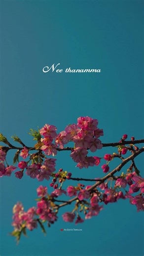 Thenmadurai vaigai nathi |Ilayaraja| #spbalasubrahmanyam#rajinikanth#blackscreen#tamilwhatsappstatus