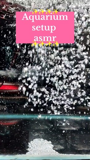 Setting up an aquarium just for fun ☺️#viral #trending #shortsfeed #fyp #fish #food