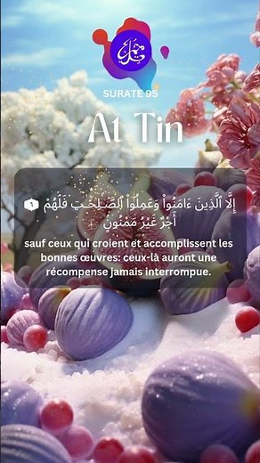 Coran Sourate 95 التين AT-TIN I Récité par Mokhtar El Hadj
