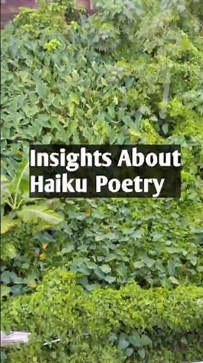 Insights about Haiku Poetry #haikupoetry #poetrylovers #poetry