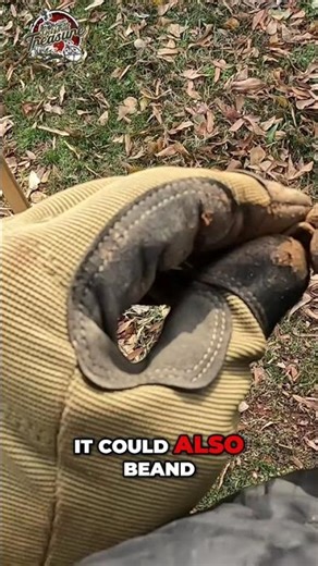 Metal Detectorist Finds Mystery Object: Cufflink or Lantern Part? #shorts