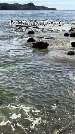 1600万年前の海底を歩く。」島根・石見畳ヶ浦 #shorts