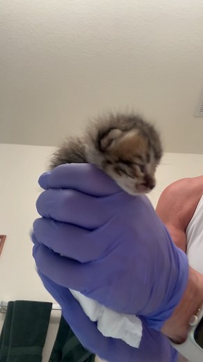 37K views · 10K reactions | BUTT BATH for baby “Grey” (collar color)....