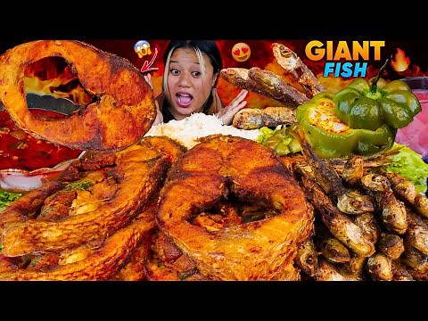BIGGEST FISH CURRY RECIPE + MUKBANG || EATING GIANT FISH CURRY WITH SMALL FISH FRIES & RICE 🔥