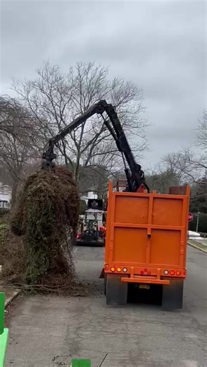 Best Tree Service in Long Island for Freightliner Trucks