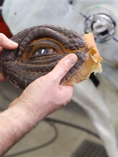 Understanding Ophthalmology: Key Insights and Innovations