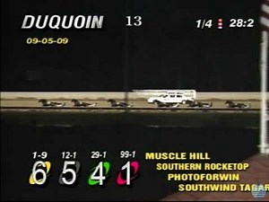 Muscle Hill - 2009 World Trotting Derby