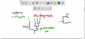 Describe how to make a cladogram. Include the types of characters that are used and the judgments you must make about the characters. | Numerade