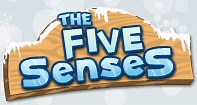The Five Senses | Human Body Game | Turtle Diary