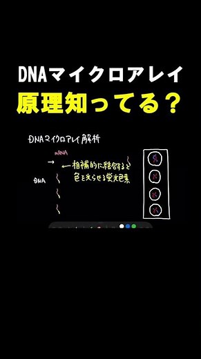 DNAマイクロアレイ解析の原理、知ってる？　#shorts #大学受験 #生物