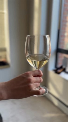 Sometimes you just gotta make it work 🍷✨ Here’s to 2026 – may it be a little easier than this, but honestly? We’ll handle it either way. Happy New Year! 🥂 #NewYear #2026 #Relatable #NYE #HappyNewYear | The Piper Blush Experiment