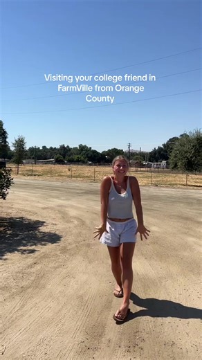 The bugs here are no joke