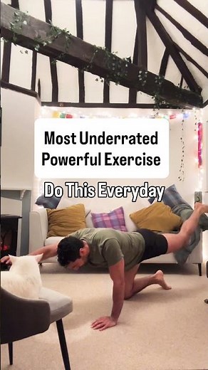 One Of The Most Underrated And Powerful Exercises: Bird Dog.