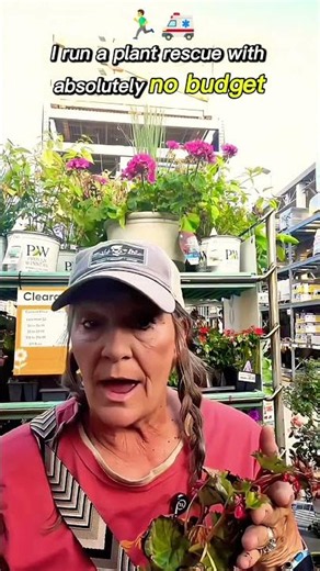 Clearance Plant Rescue | I Think I Can Save Her