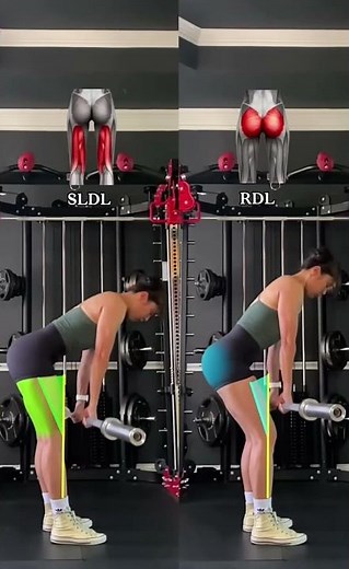 RDL vs SLDL— Key Differences Explained #gluteworkout #gymtips #rdl #fyp #gymmotivation #legday