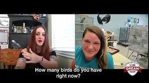 186 reactions · 14 shares | DREAM TEAM - The FOX 13 Dream Team helps a Sandy bird rescue fly during the pandemic https://bit.ly/36WpkAx | FOX 13 News | Facebook