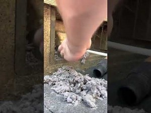 Dryer vent cleaning, massive amount of lint, completely fills the vacuum!
