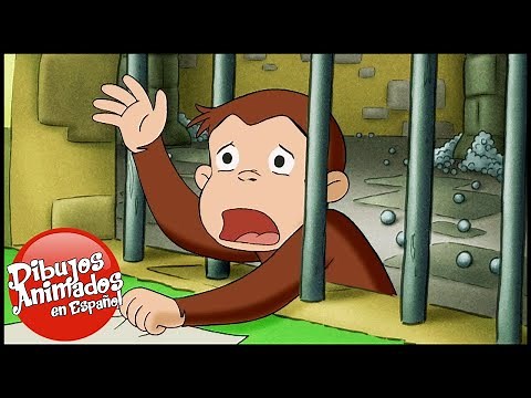 Jorge el Curioso en Español 🐵Compilación de 1 Hora 🐵 Capitulos completos del Mono Jorge