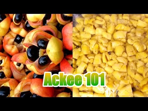 Freezing & Storing Ackee//How to Clean(Pick)Ackee//Jamaica's National Fruit//Boiling Ackee to Freeze
