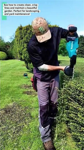 Hedge Trimming Like a PRO! 🌿 Electric Hedge Trimmer in Action!‎