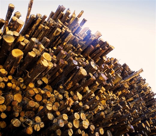 Mass timber takes root in Texas architecture