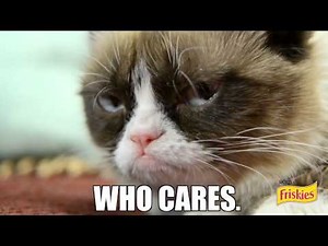Grumpy Cat, Nyan Cat, and Keyboard Cat Commercial Reel!