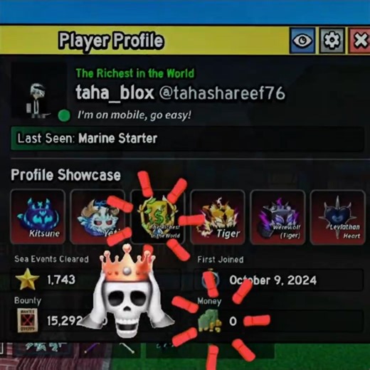 going broke after I got max level