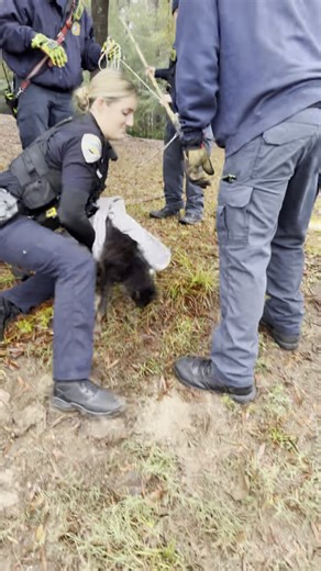 Bluffton firefighters have done it again! Just after 8 a.m. on Sunday, December 7, crews from Station 30 were called to assist law enforcement and animal services with a distressed cat that was reportedly stuck in a drain pipe behind Kroger on Towne Drive. Captain Joey Dembeck, FF-II Carter Dzieciolowski, and FF-II Nicholas Biangone quickly got to work. Using a rope and pike pole, the crew was able to bring “Midnight” safely out of the pipe and back into caring hands...well, almost. 🤭👮🏼‍♀️ Hu