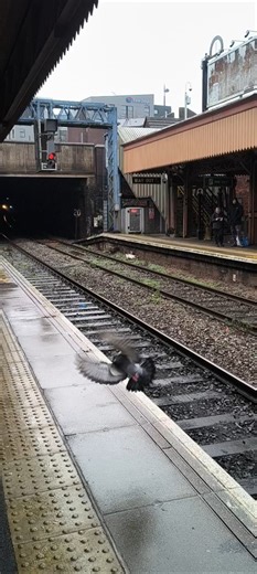 Class 172 DMU exiting Tunnel at Birmingham Moor Street Station
