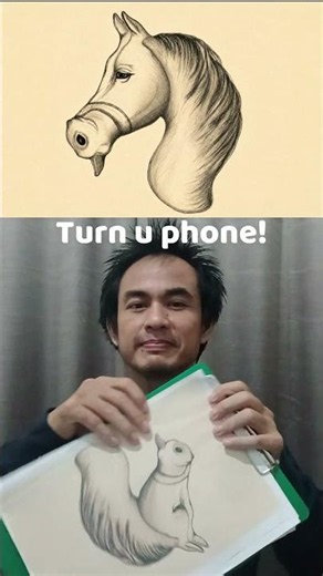 Shorts 314: #trend #funny ,What is this picture? a horse or a squirrel?