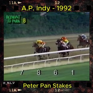 10K views · 379 reactions | A.P. Indy - 1992 Peter Pan Stakes. | Natural life Viewer | Facebook