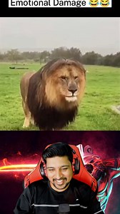 🤣🤣Funny meme reaction Full video in Midfailreaction YouTube channel 😂😂 . . . . . . . . . "This content is used under fair use (Section 107 of the Copyright Act) for purposes such as criticism, commentary, news reporting, teaching, scholarship, and research." If you want to take down this video reach out to midfail.ads@gmail.com Thanks for visiting my page | MidfailReaction