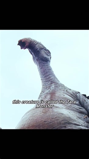 This is a monster that can provide energy for warriors #movie #filmclips #science