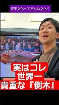 【世界一価値のある倒木】の話 対話する歴史⑩ #正倉院 #東大寺 #ランジャタイ #シルクロード #歴史解説