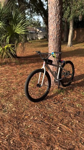 Picking my brother up at school on his bike lmao #florida #pimp #bomma #thrust #wheelie @Jace Sipe is Pimpin