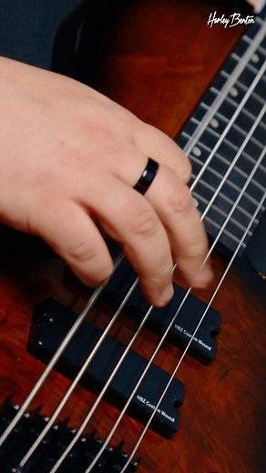 🙌 The Harley Benton MSB-5 Series is a 5-string multiscale electric bass that combines striking aesthetics with exceptional performance. Perfect for the stage or studio, the MSB-5 is a master of the low end! 😎 @lukas_bierbrauer #harleybenton #harleybentonofficial #yourstyleyourgear | Harley Benton