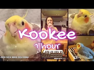 Kookee Kookee - Ginger the Cockatiel x The Kiffness - 1 HOUR