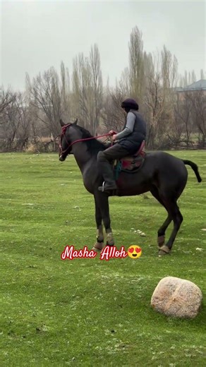 6 апреля 2026 г.