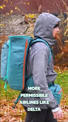 This Hideaway Harness System is Helpful 👀 #traveltips