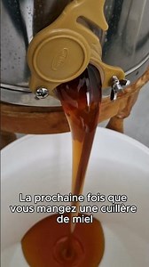 Produire du miel demande un travail colossal aux abeilles !