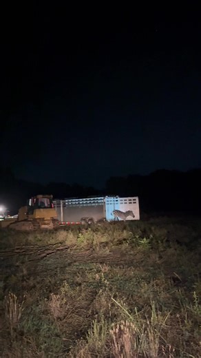 2.2M views · 10K reactions | Zebra update: The owners shared this...