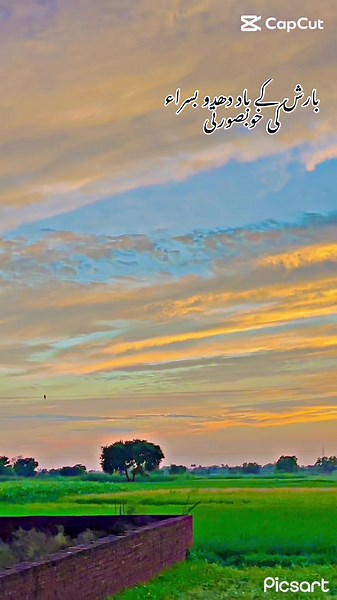 Exploring the Beauty of Dhadu Basra