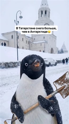 РУСЛАН | БЛОГЕР Ai | АРСК | КАЗАНЬ on Instagram: "Пингвин добрался до Казани😄 #ии #пингвин #kallay_mallay #татары #татарстан"